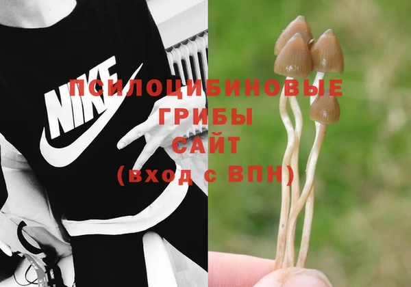 индика Пересвет