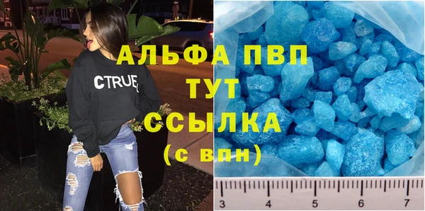 индика Пересвет