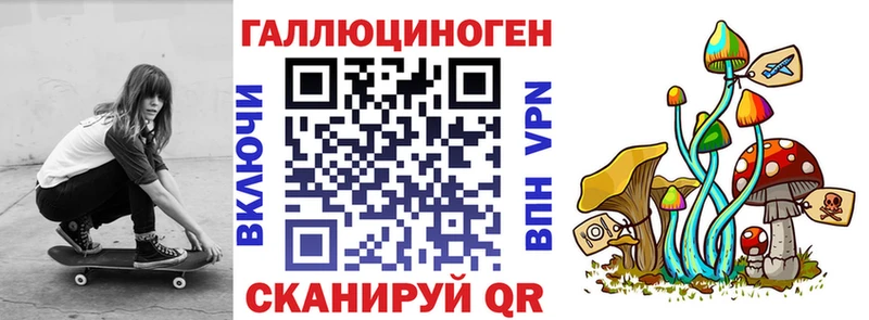 Псилоцибиновые грибы Cubensis  где найти   Ува 